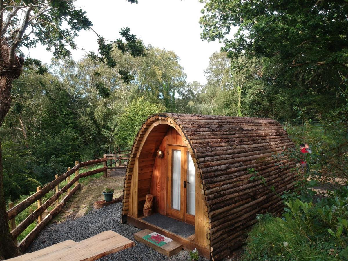 Owl Hut Cosy Ensuite Pod Snowdonia Coast Sleeps 2 *