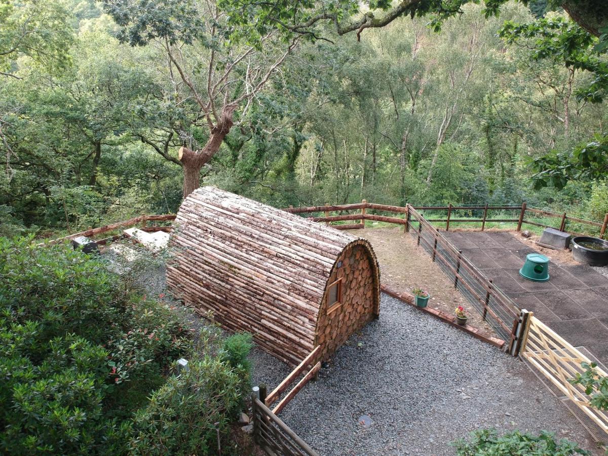 Owl Hut Cosy Ensuite Pod Snowdonia Coast Sleeps 2 *