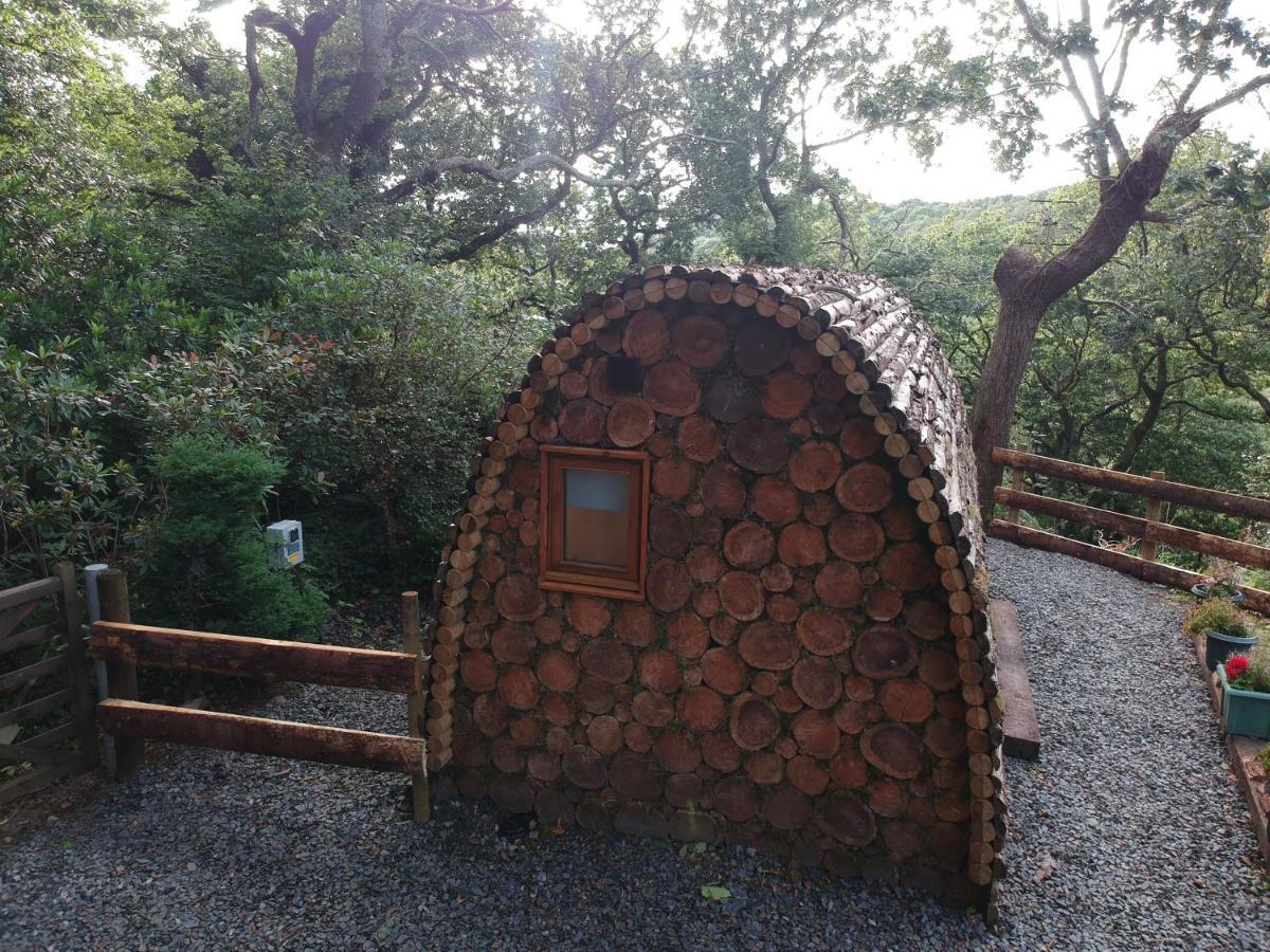 Owl Hut Cosy Ensuite Pod Snowdonia Coast Sleeps 2 Luxury tent Dolgellau