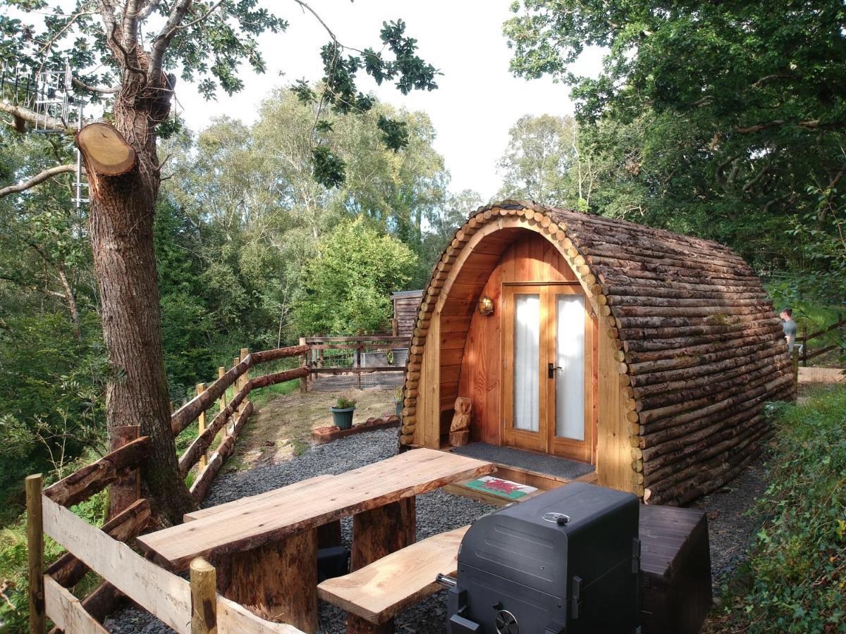 Luxury tent Owl Hut Cosy Ensuite Pod Snowdonia Coast Sleeps 2